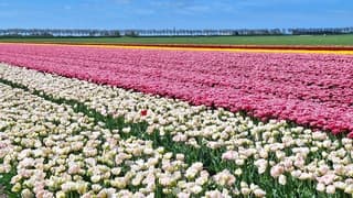 Heerlijk lenteweer