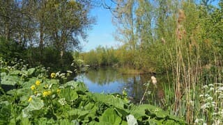 NATUUR- ontdek je plekje