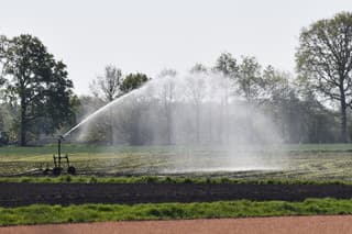 Land erg droog, sproeien maar!