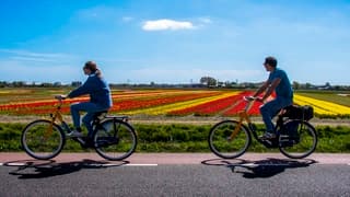 HOPELIJK WERKT DE BUIENRADARSITE VANDAAG WEL