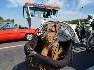 Welsh mag mee, op veerpont.