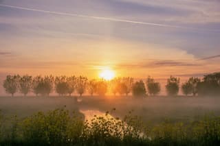 Oranje zonsopkomst met nevel