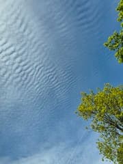 Ribbel wolken regio Leende