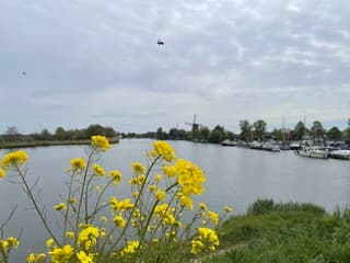 Een bewolkte Koningsdag 