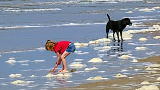 Vanmiddag langs het strand 