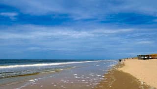 Vanmiddag langs het strand 