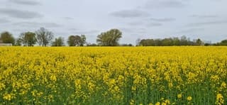 Ten Post