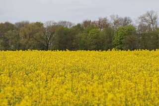 Ten Post