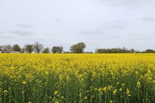 Ten Post