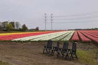 Westeremden