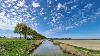 Mooie dag wens ik; Diana, Henk, Loes, Elly, Gerrie en Geno