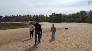 Wandelen met de hond
