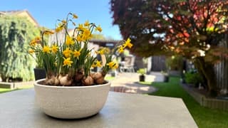 Genieten van de kleuren 