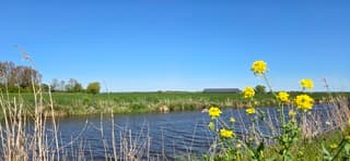 Strak blauwe lucht en zon boven de provincie Groningen 