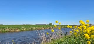 Strak blauwe lucht en zon boven de provincie Groningen 