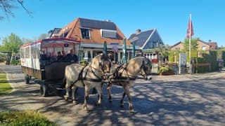 Zonnig maar wal vrij veel wind