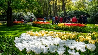 KEUKENHOF