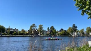 Roeiers op het Spaarne