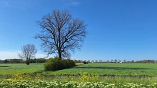 blauwe lucht, wind maar mooie dag