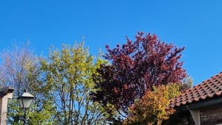 Lente!