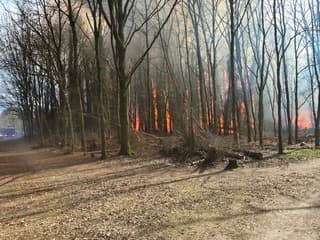 code rood voor natuurbranden