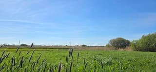 Blauwe lucht zon en lichte sluierbewolking vanmiddag 