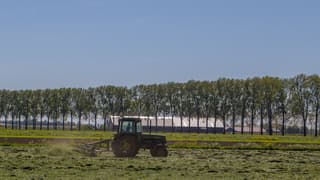 Het gras droogt snel na het schudden
