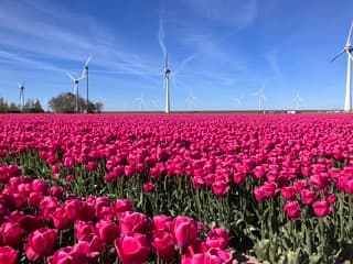 Blauwe lucht en sluierbewolking 