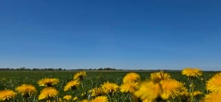 Strak blauwe lucht en zon boven de provincie Groningen 