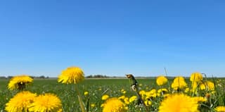 Strak blauwe lucht en zon boven de provincie Groningen 