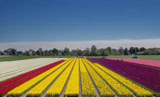 Opmerkelijke witte band aan de horizon.