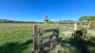 Hek naar de molen//strak blauwe lucht