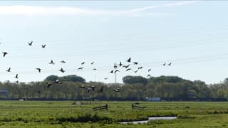 Natuurreservaat Kerkepolder vanmorgen ! ( o.a.)