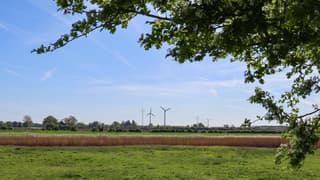 Wind voor de windmolen