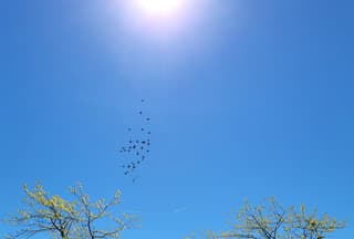 Volop zonneschijn bij 18 graden 
