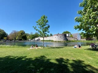 Zomerse dag