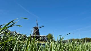 Onbewolkt en wind