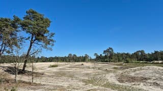 Droog en zonnig