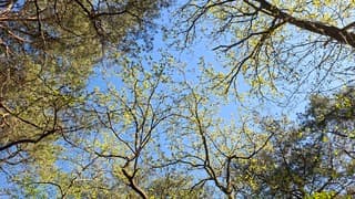 Fris groen in Norg