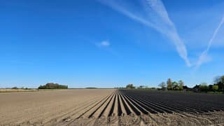 Aardappelveld Den Andel