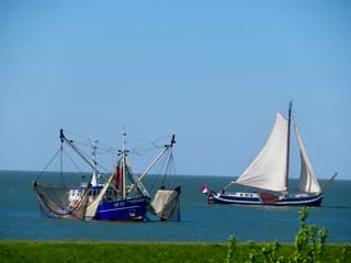 Het ziet er gezellig uit op het IJsselmeer