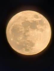 Volle maan