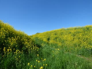 Zomer!