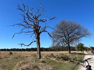 Droog en blauwe lucht