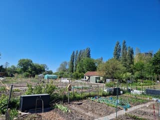 Mooi weer voor de moestuin