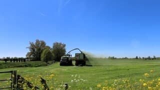 Gras kuilen
