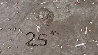 25 graden 
