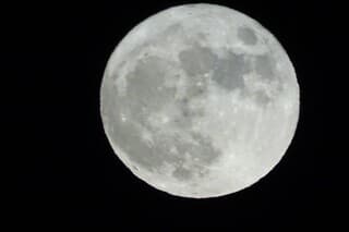 Volle maan