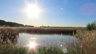 Laagstaande zon in park Lingezegen