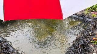 Regen paraplu 